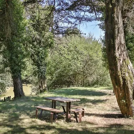 Mobil-home Confortable Avec Terrasse - Api-1-52-451 *