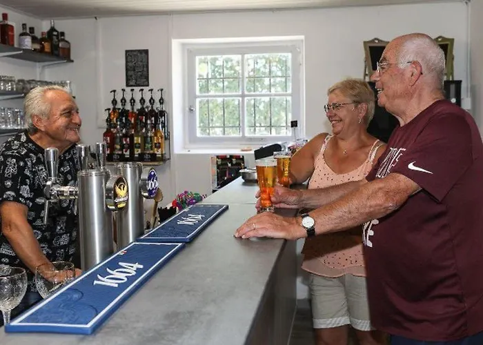 Mobil-home Confortable Avec Terrasse - Api-1-52-451 Kemping Les Achards (Vendee)