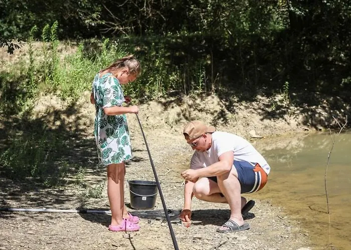 Mobil-home Confortable Avec Terrasse - Api-1-52-451 Kemping